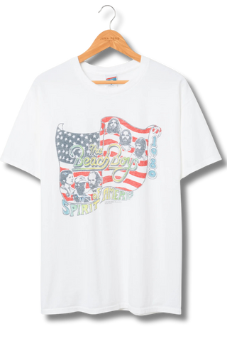 Junk Food The Beach Boys USA Flea Market Tee